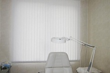 Жилюзи вертикальные в кабинет