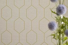 Birchgrove Gardens Elizabet Oxford, Paper Partnership